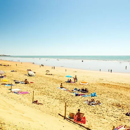 Coquillage De La Plage * Les Bussolleries